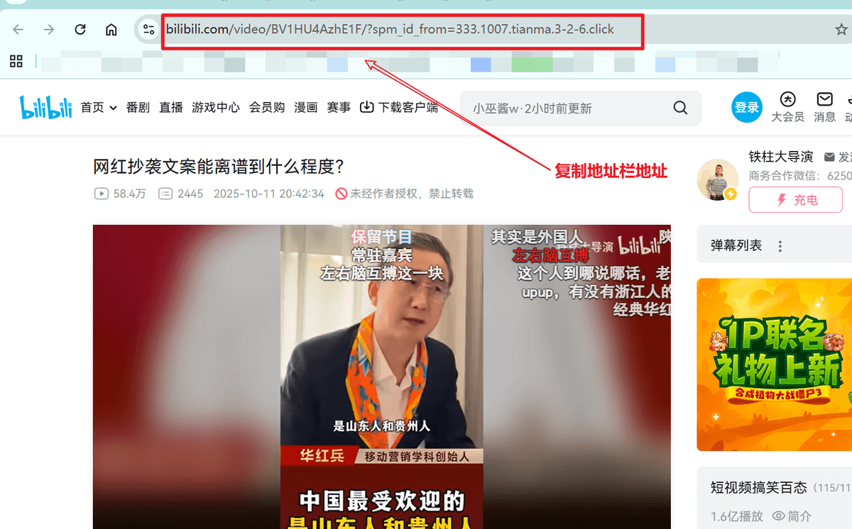 Bilibili copy URL example