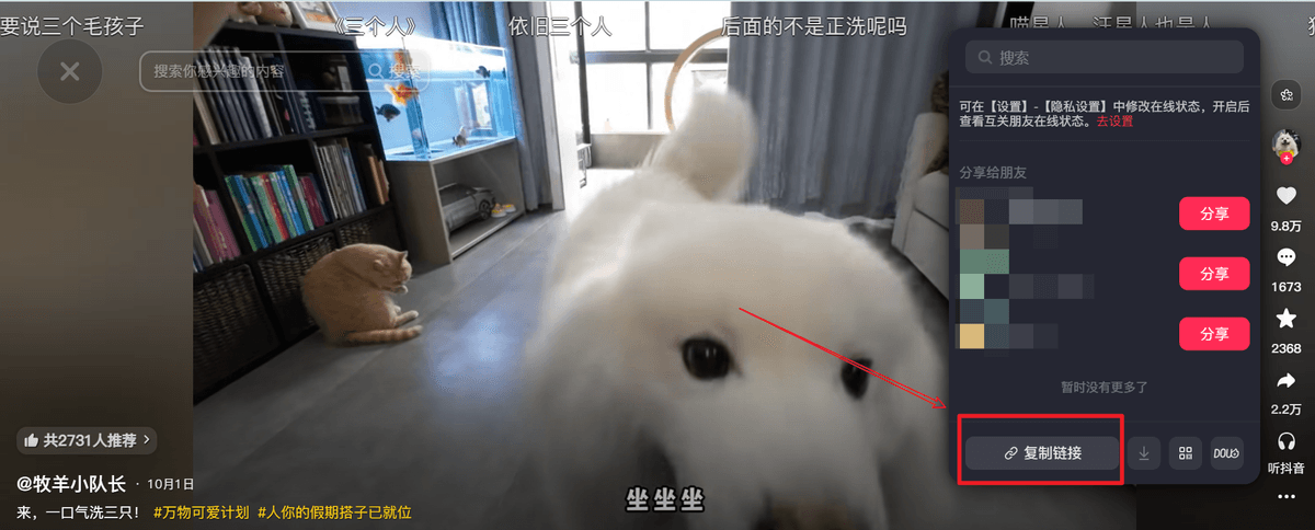 Douyin copy URL example