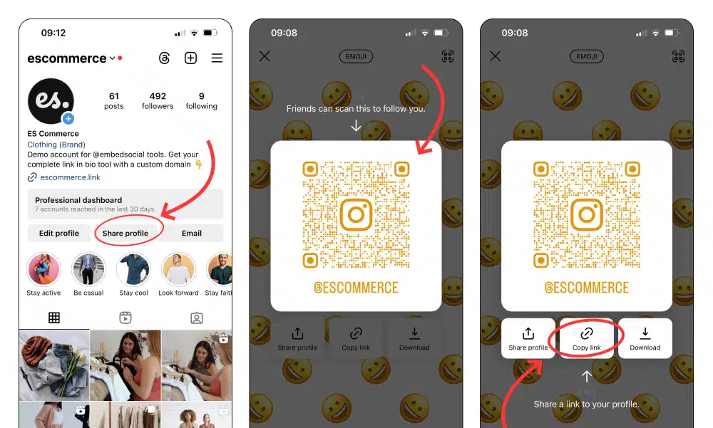 Instagram copy URL example