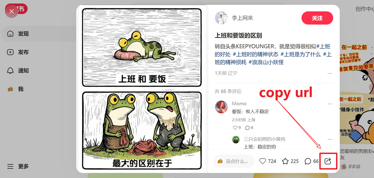 Xiaohongshu copy URL example